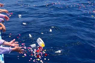 海洋散骨アドバイザー